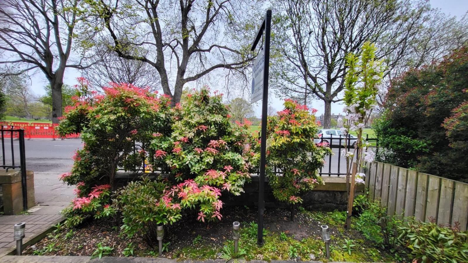 Mackenzie Guest House — Photos 2